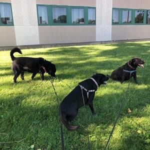 Meet your Posher, Wendy